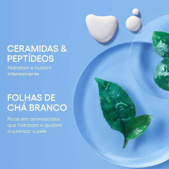 LANEIGE CREAM SKIN TONER + MOISTURIZER